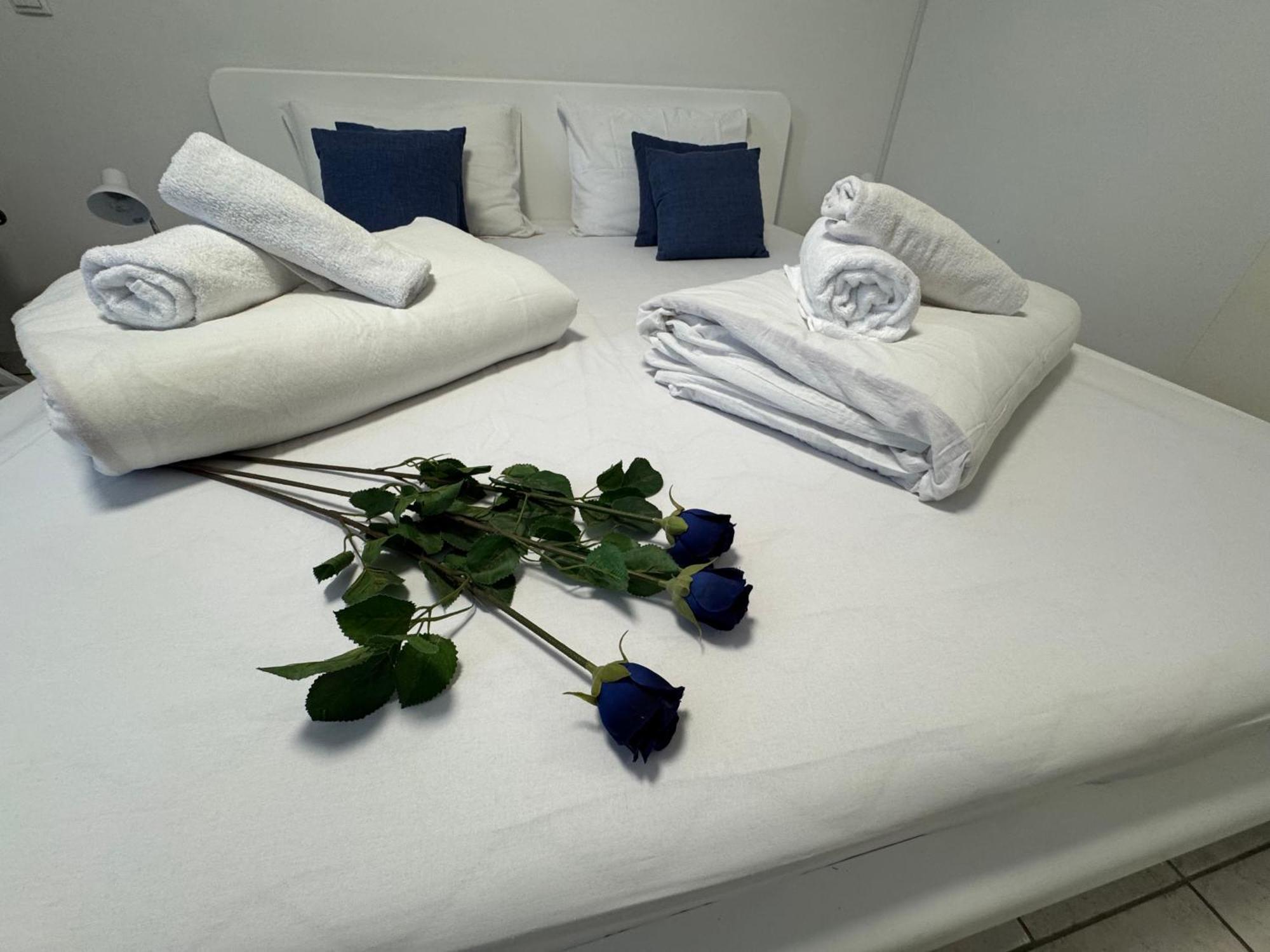 Anabella Apartment Izola Dış mekan fotoğraf